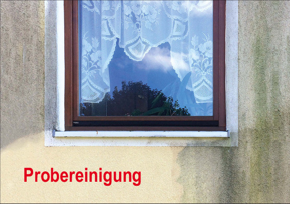 probereinigung